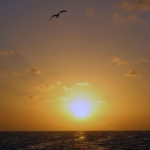 Caye Caulker sunset