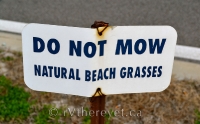 Man made beach and grass