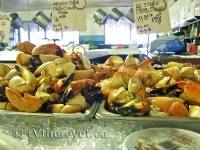 Giant crab claws