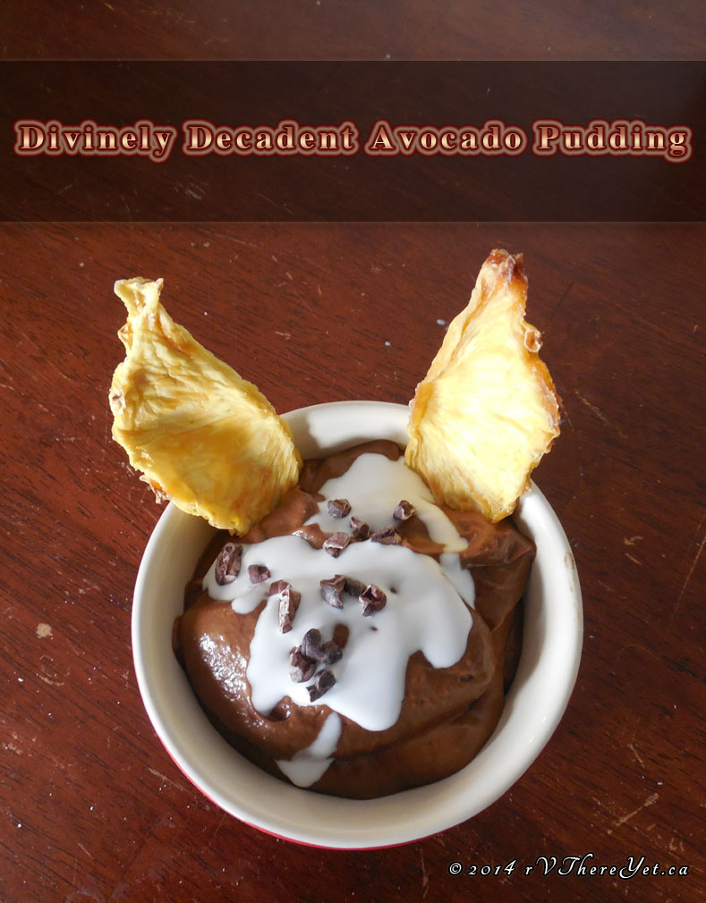 Divinely Decadent Avocado Pudding